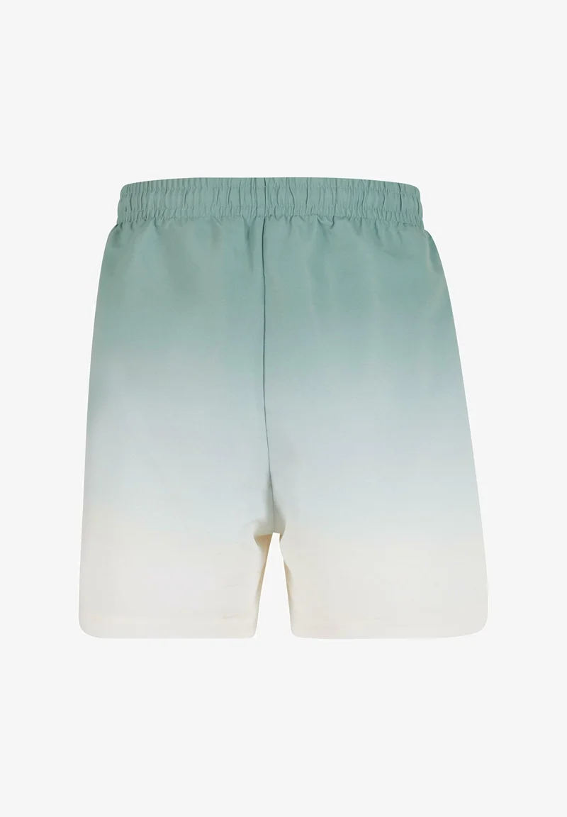 Swimming Shorts